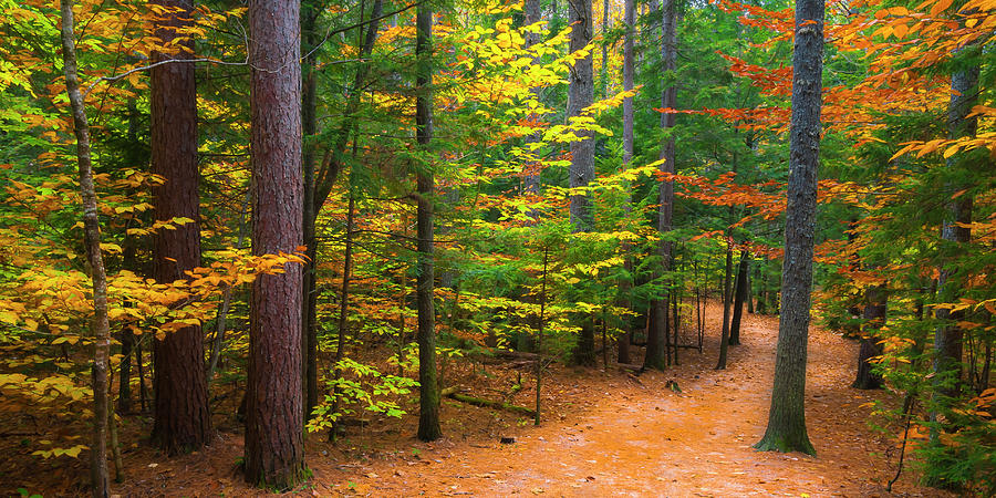 New Hampshire Fall Foliage Panorama Photograph by Ranjay Mitra