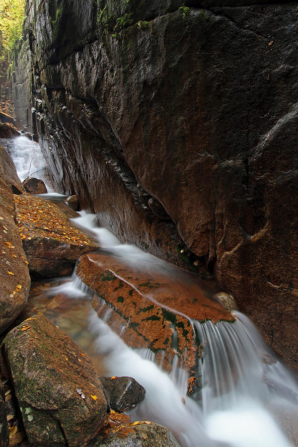 New Hampshire Flume Gorge Photograph by Juergen Roth