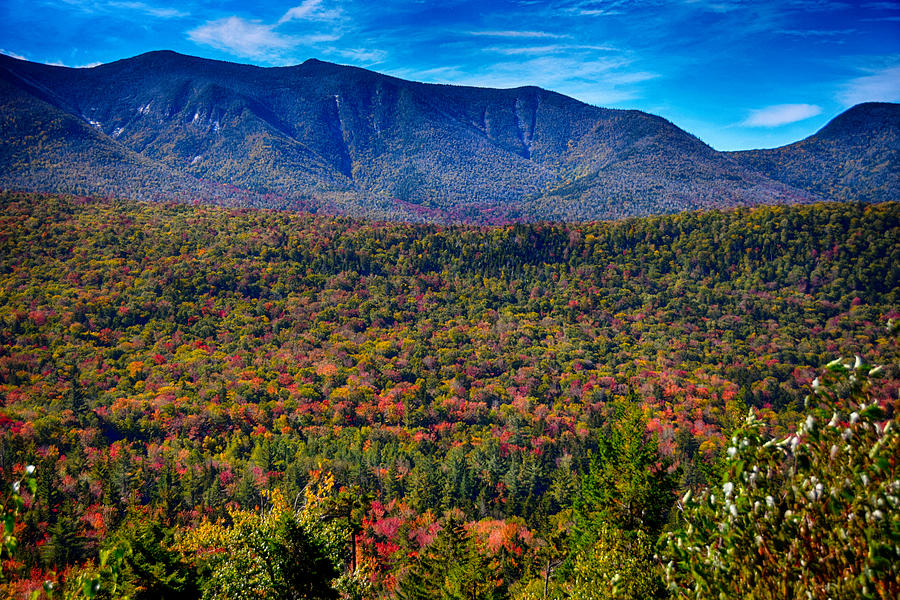 New Hampshire in Fall Photograph by Tricia Marchlik