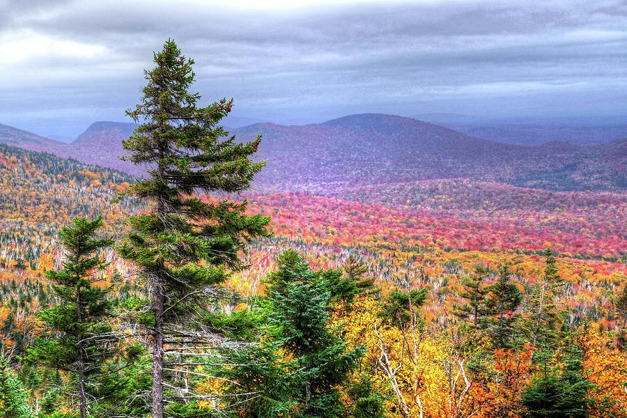 Fall Photograph - New Hampshire Kancamagus Highway Autumn Foliage Fall Trees by Toby McGuire