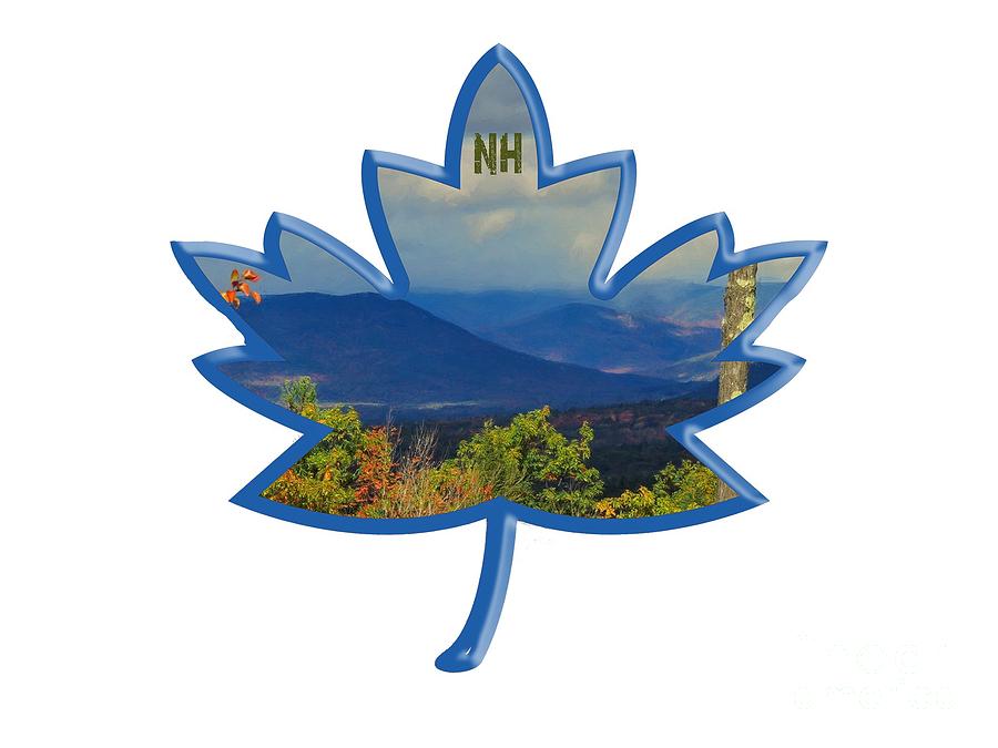 New Hampshire Maple Leaf Design Photograph by Mim White
