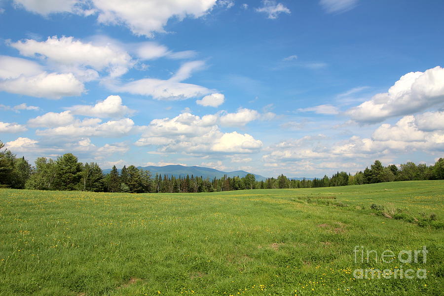 New Hampshire Mountain Meadow Photograph by Neal Eslinger