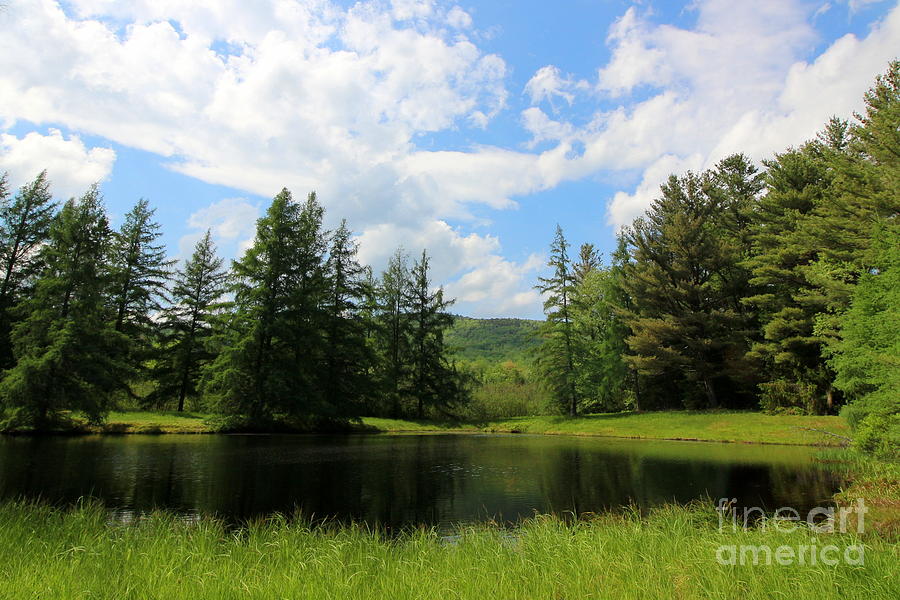 New Hampshire Pond Landscape  Photograph by Neal Eslinger