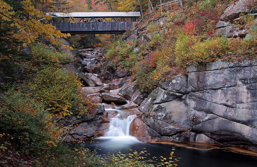New Hampshire Sentinel Pine Bridge Photograph by Juergen Roth