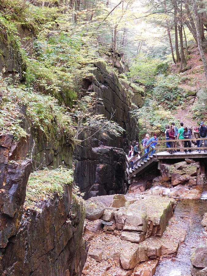 New Hampshires Flume Gorge Photograph by Catherine Gagne