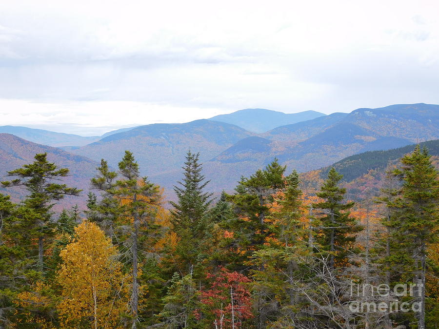 New Hampshires White Mountains Photograph by Catherine Gagne