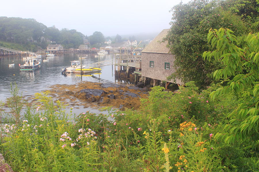 New Harbor Maine Foggy Summer Morning Photograph by John Burk