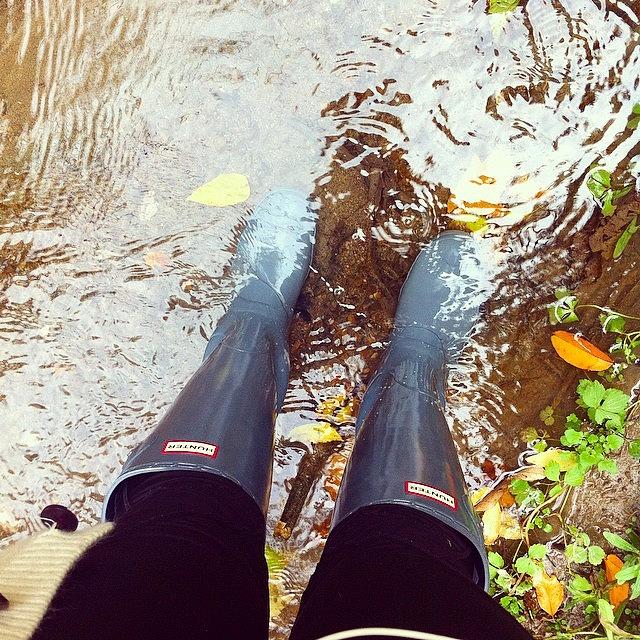 Fall Photograph - New Hunters Work Well 👍#hunterboots by Clarese Greig