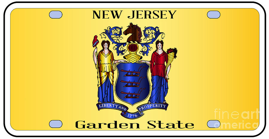 Blank New Jersey State License Plate Digital Art by Bigalbaloo Stock - Fine  Art America