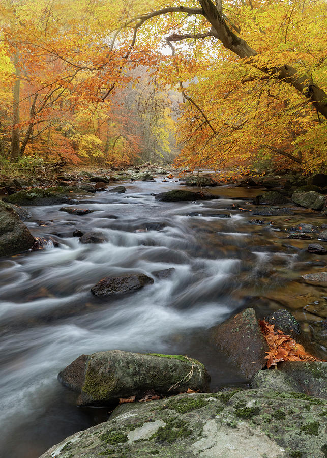 New Jersey in the Fall Photograph by Nicholas Palmieri | Fine Art America