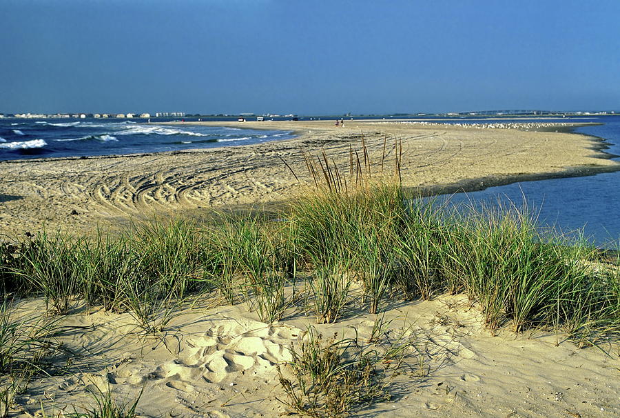 New Jersey Inlet  Photograph by Sally Weigand