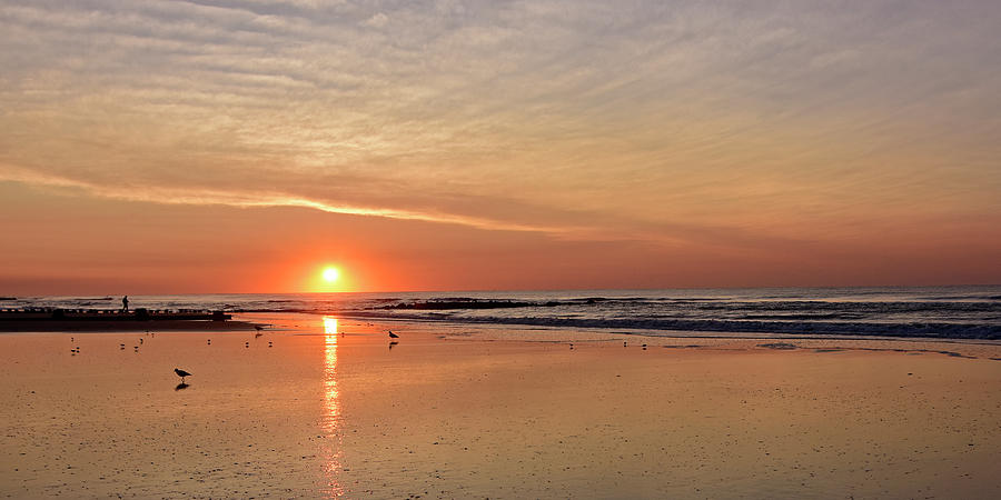New Jersey Sunrise Photograph by Dan Myers