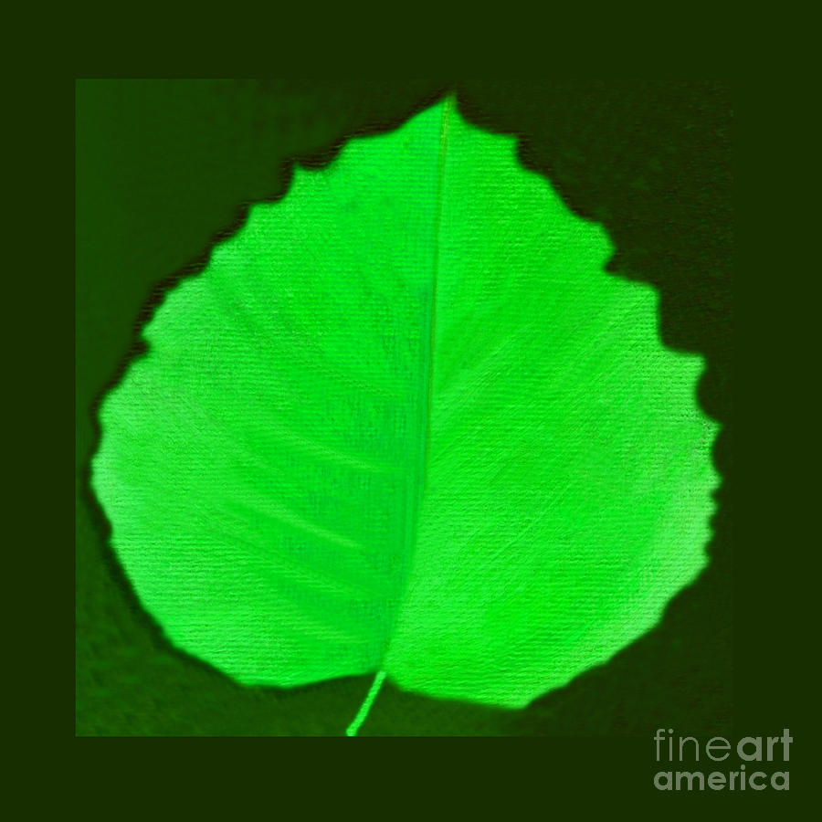 New Leaf Mixed Media by Helena Tiainen
