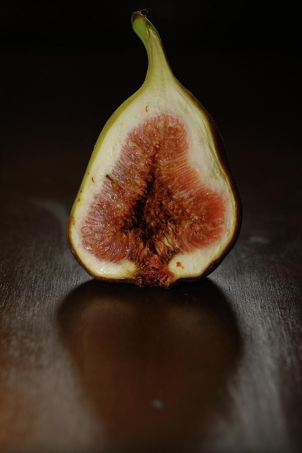 Life Of Fig Photograph by Hyuntae Kim