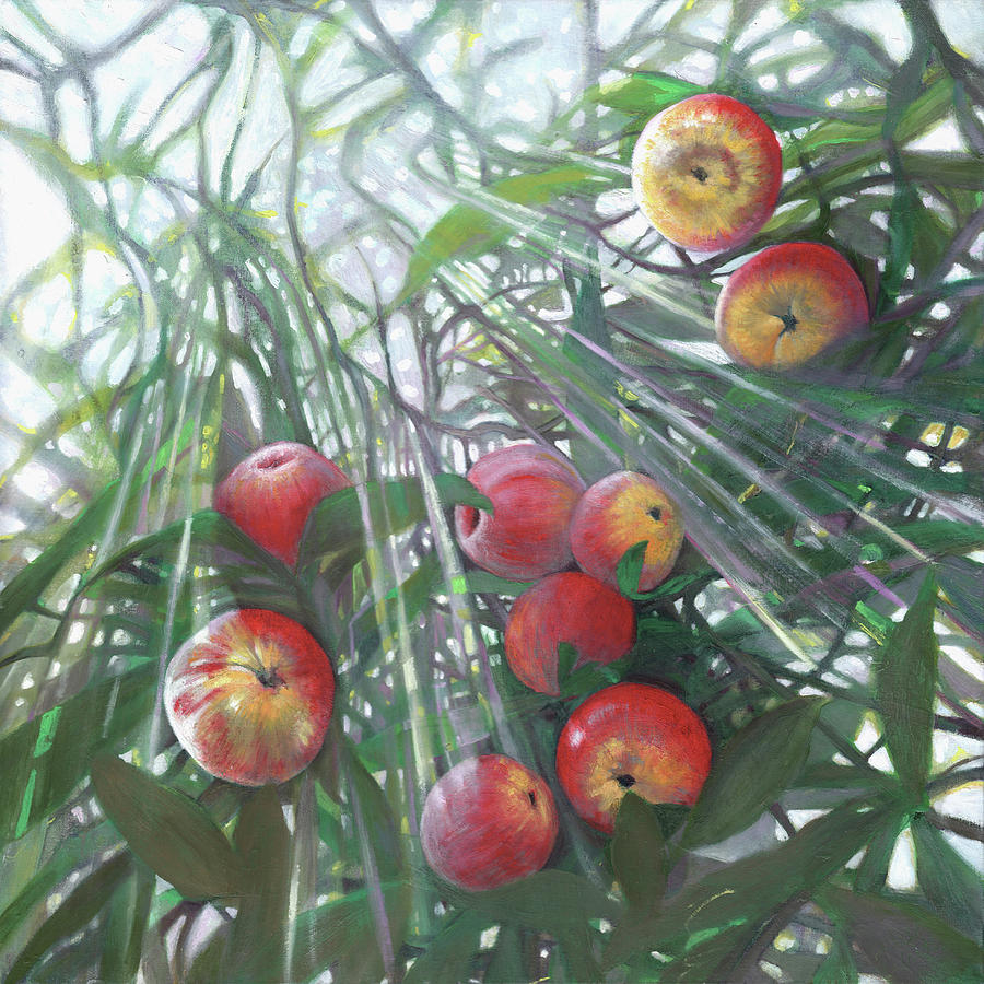 Apple Tree Painting - New light on Eden by Helen White Apple Tree Painting - New light on Eden by Helen White