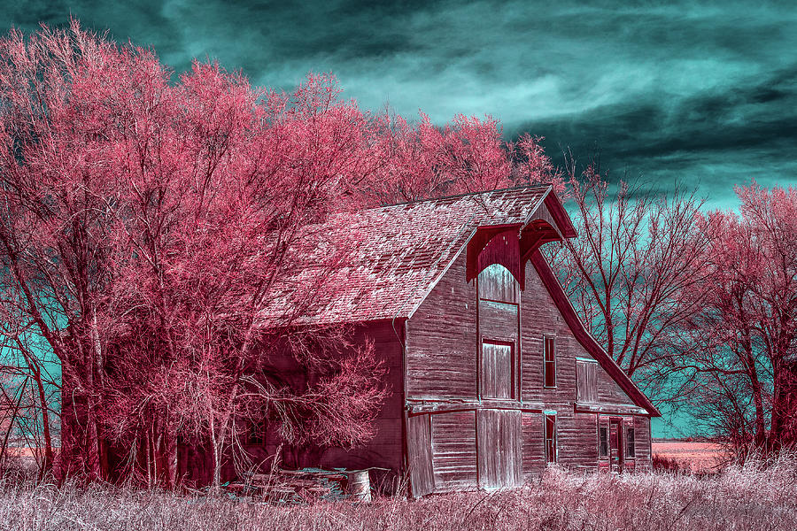 New Mexico Barn Infrared Photograph by Paul Freidlund