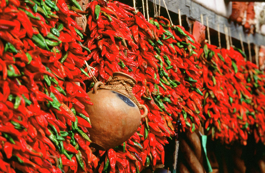 Santa Fe Photograph - New Mexico Chilies by Eric Tworivers