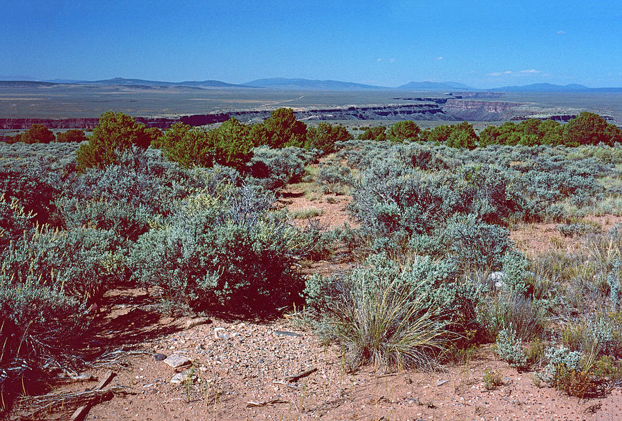 New Mexico Desert Rio Grande Gorge Photograph by Ira Marcus