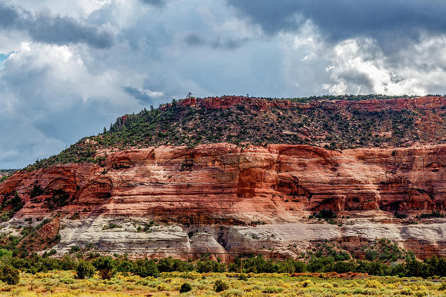 New Mexico Photograph by Doug Long