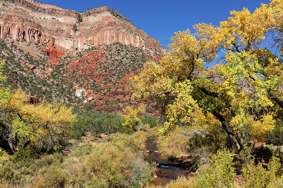 New Mexico Fall Photograph by Kathleen Bishop