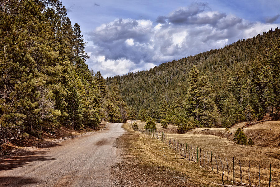 New Mexico Landscape Photograph by Diana Powell