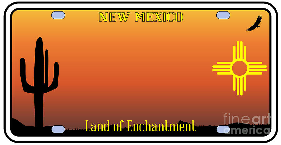 New mexico on sale licence plates