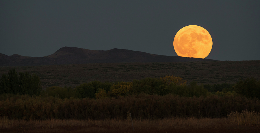 New Mexico Moonrise Photograph by Loree Johnson