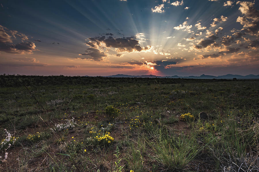 New Mexico Morning Photograph by Jody Partin