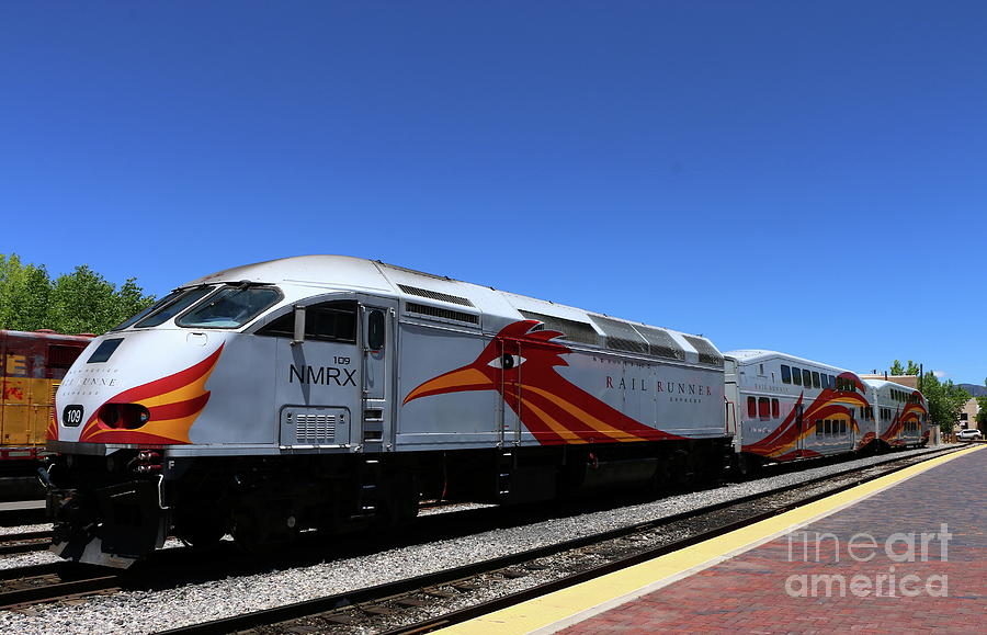 New Mexico Rail Runner Photograph by Christiane Schulze Art And Photography