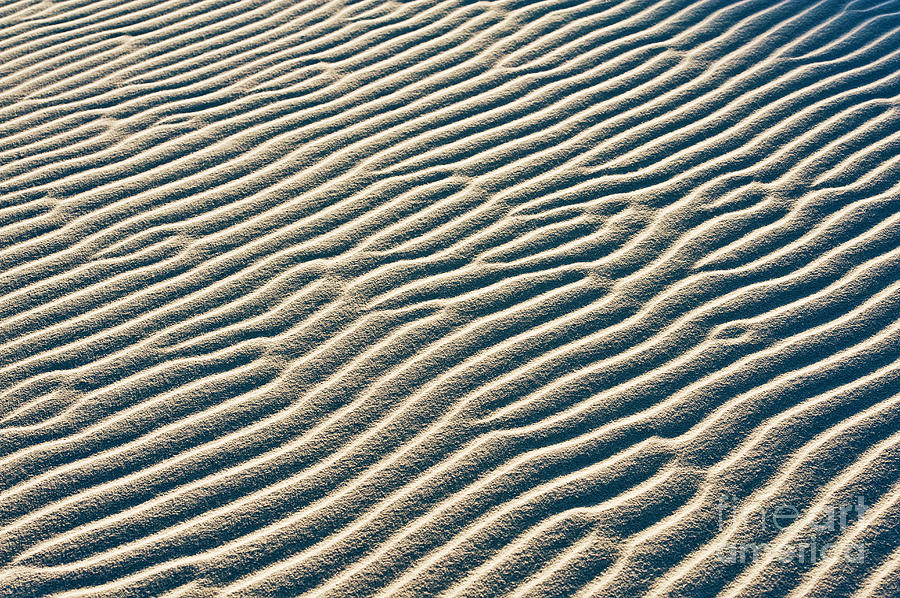 New Mexico Sand Patterns Photograph by Bill Brennan - Printscapes