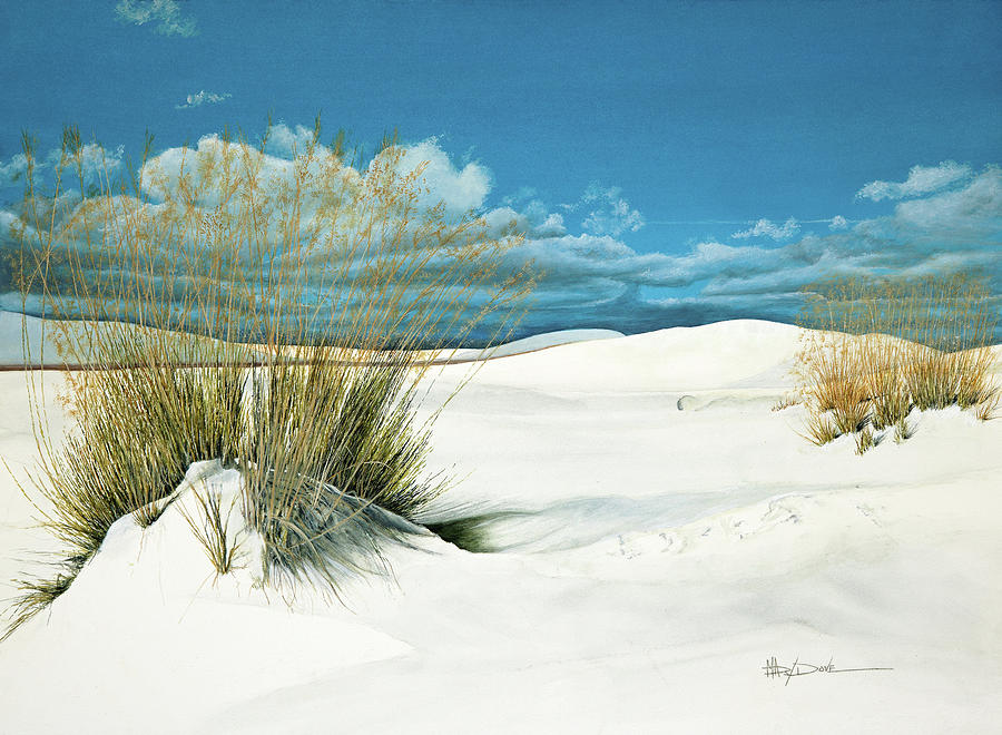 New Mexico Shifting White Sands Grass Painting by Mary Dove