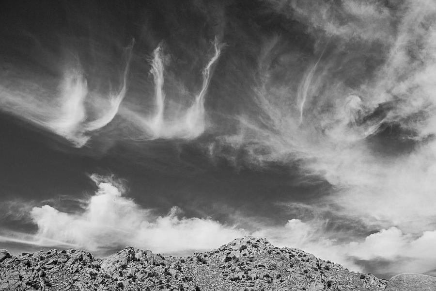 New Mexico Sky by Amanda Rimmer New Mexico Sky by Amanda Rimmer