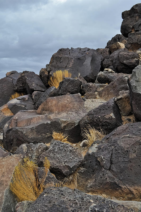 New Mexico Volcanic Basalt Photograph by Kyle Hanson
