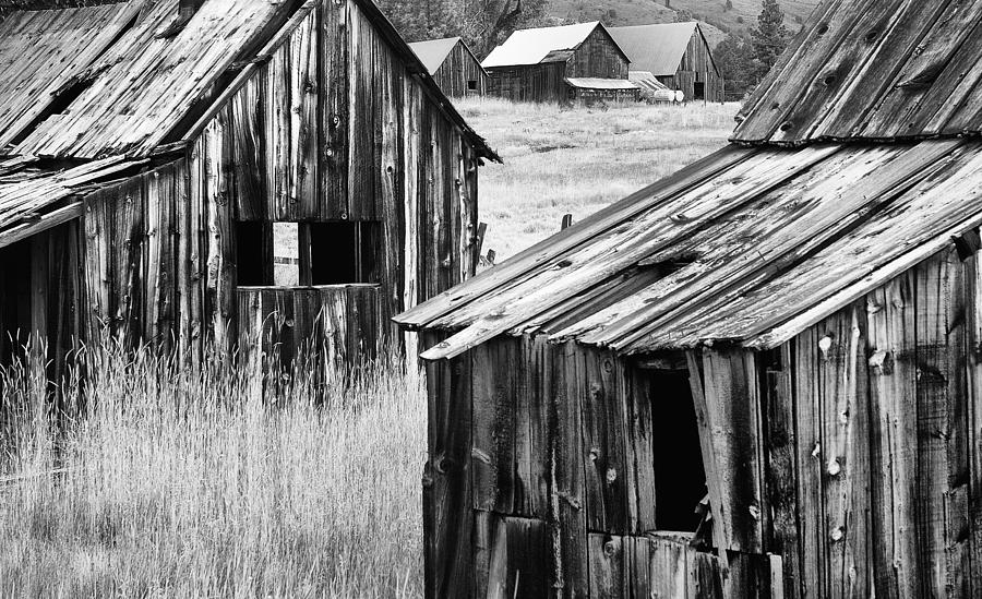 Abandoned Cabins Photograph by Mick Burkey