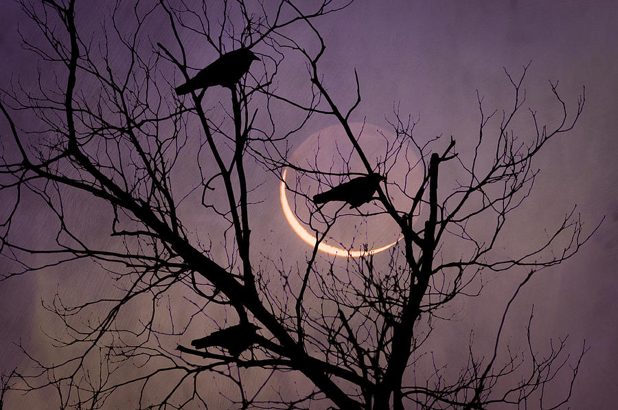 New Moon Photograph by Bill Cannon