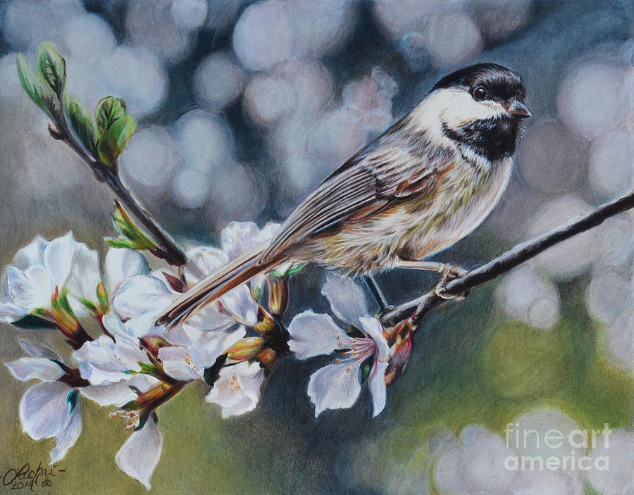 Chickadee Painting - Awake by Lisa Clough Lachri