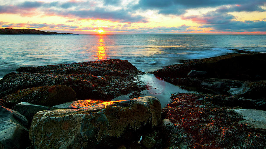 Acadia National Park Photograph - New Morning  by Mark Silk
