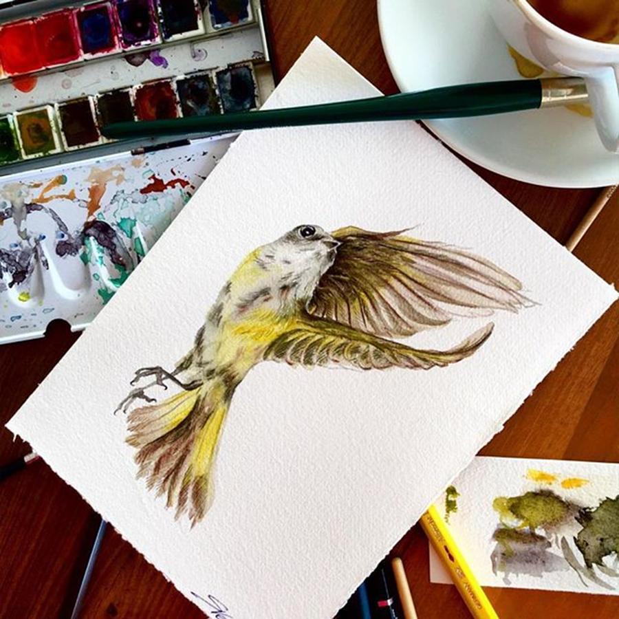 Nature Photograph - New One Flying Small Bird #illustration by Svetlana Vetter