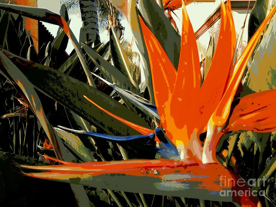 New Orleans Bird of Paradise 3 Photograph by Michael Hoard