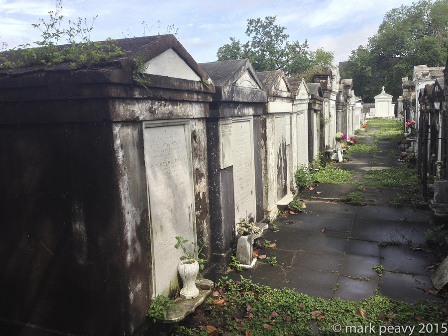 New Orleans Cemetery Photograph by Mark Peavy