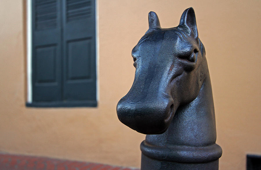 New Orleans Horse Head Hitching Post Photograph by Juergen Roth