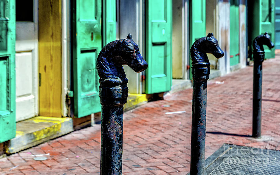New Orleans Horse Head Posts Photograph
