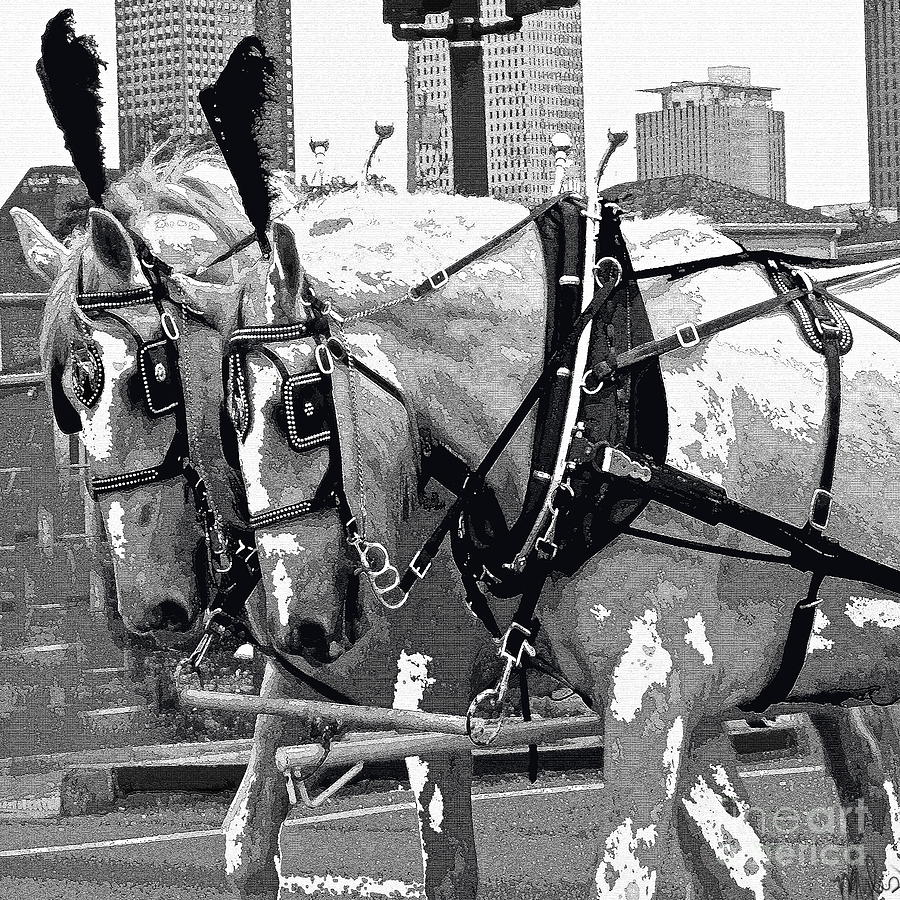 New Orleans Horses Photograph by Saundra Myles