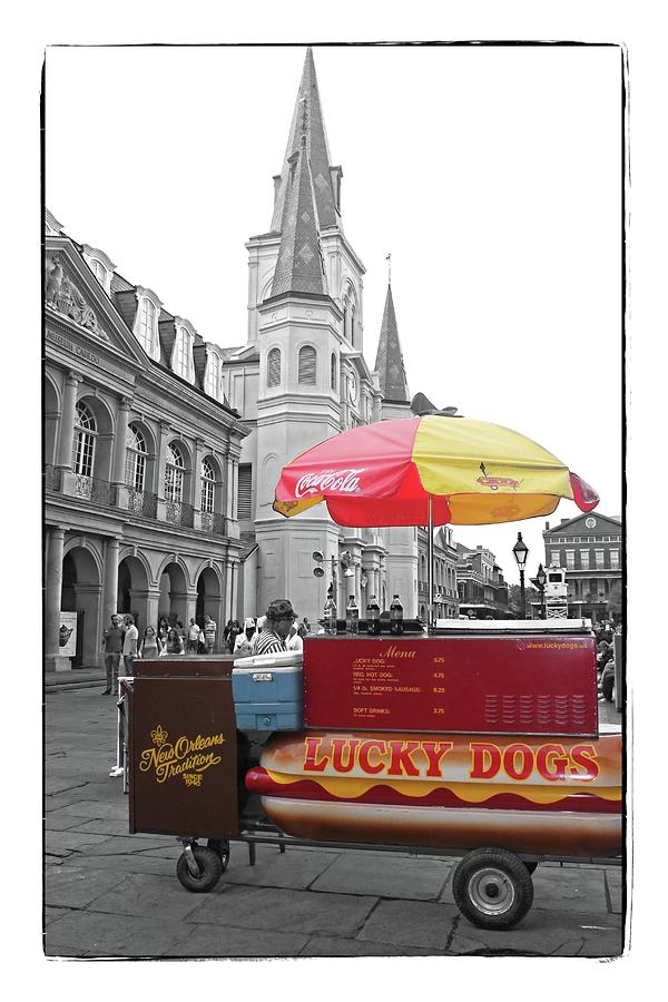 New Orleans Lucky Dog Photograph by Carlos Diaz