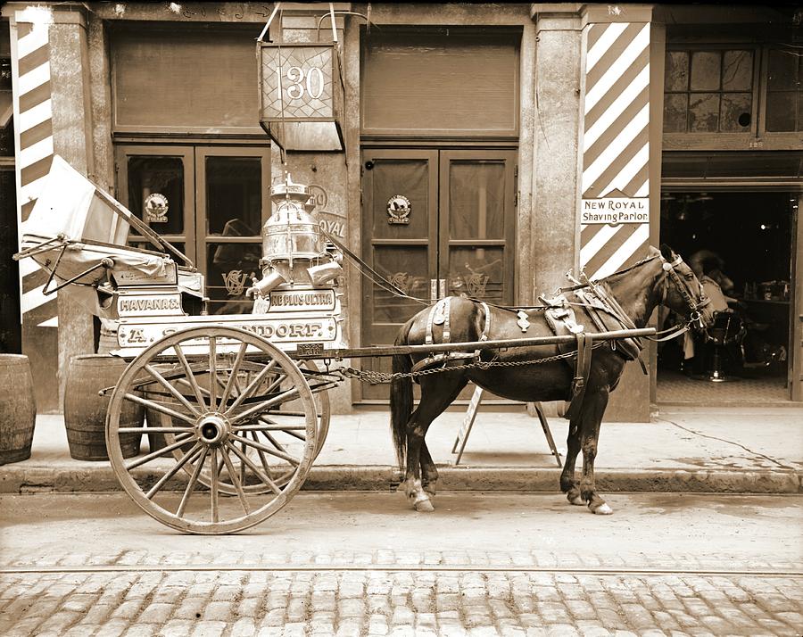 New Orleans Milk Cart in Louisiana 1905 Photograph by Padre Art