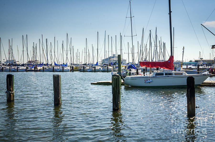 New Orleans Municipal Yacht Club Photograph