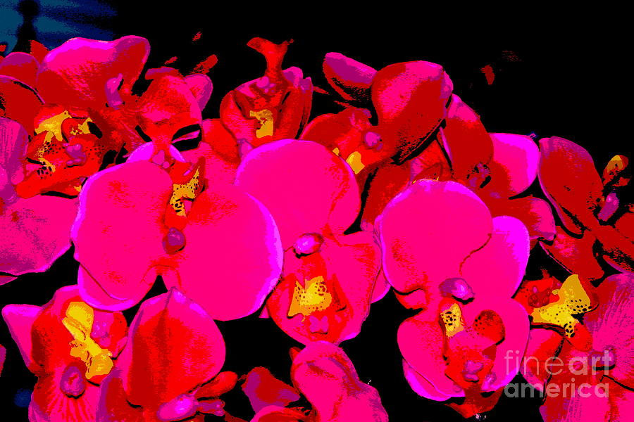 New Orleans Painted Orchids Photograph