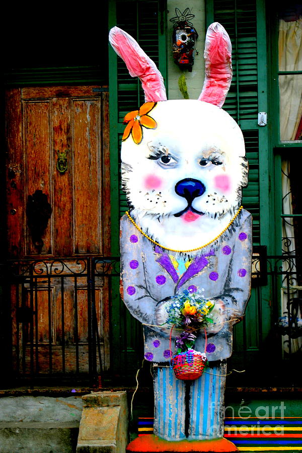 New Orleans Peter Rabbit At The Door Photograph