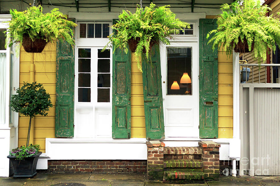 New Orleans Row House Plants Photograph by John Rizzuto