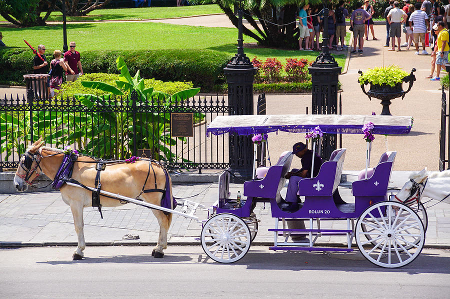 New Orleans Photograph - New Orleans Royal Carriage by Southern Tradition